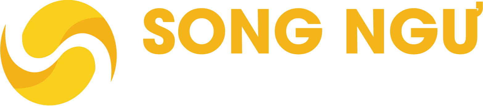 CÔNG TY TNHH MTV THƯƠNG MẠI DỊCH VỤ SONG NGƯ