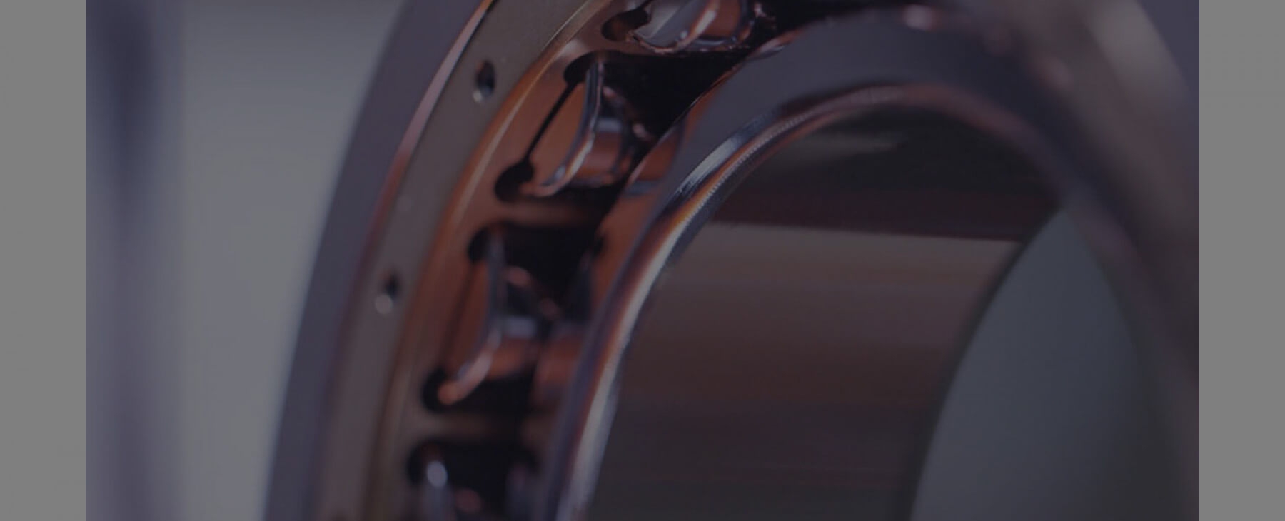 Lĩnh vực kinh doanh